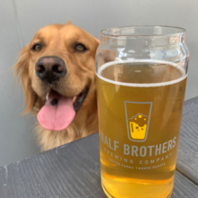 Alizjah-and-dog-at-half-brothers-brewing-company-wo A dog sticking his posing next a glass of Half Brothers Beer in Grand Forks