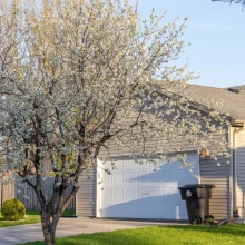 A house in Grand Forks is accompanied by a blossomed tree.