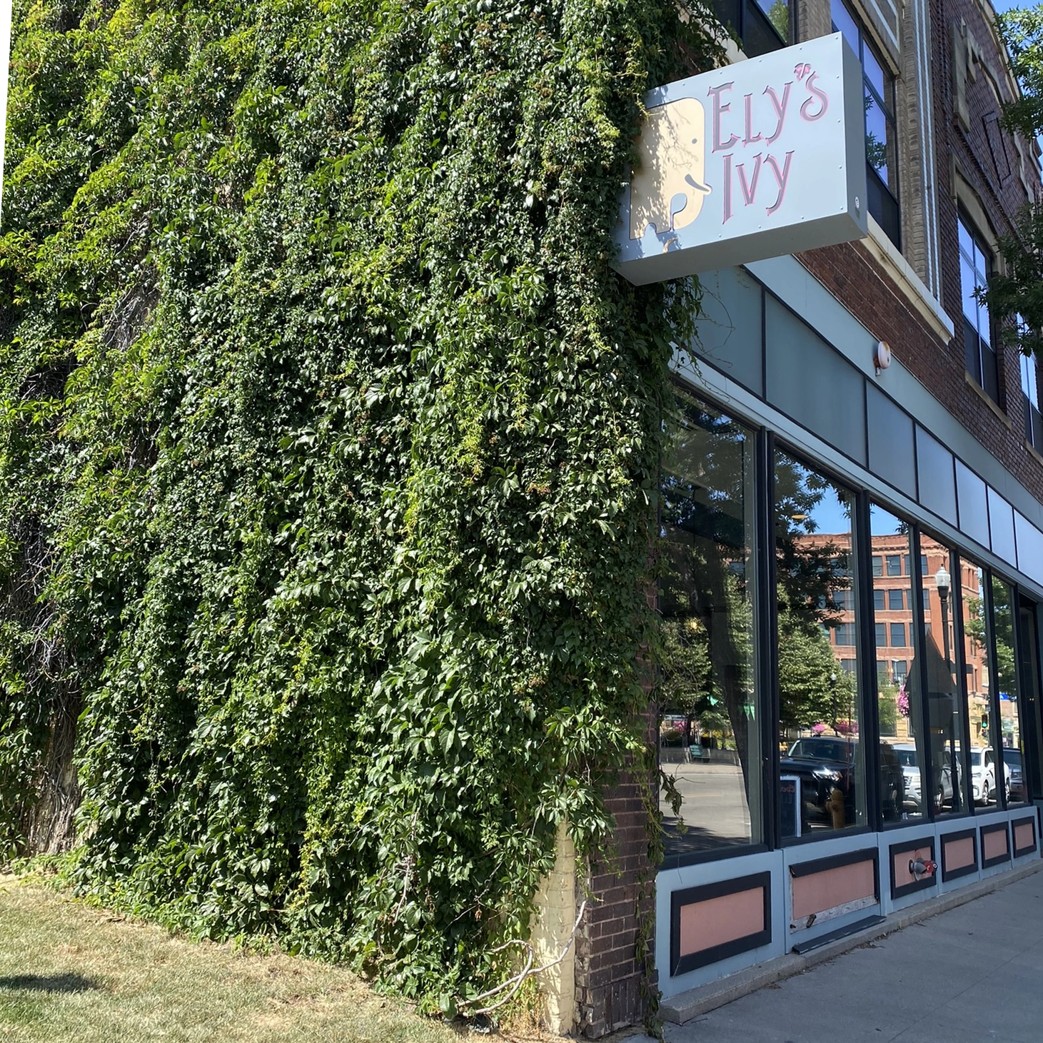 elys-ivy-grand-forks Ely's Ivy in Grand Forks