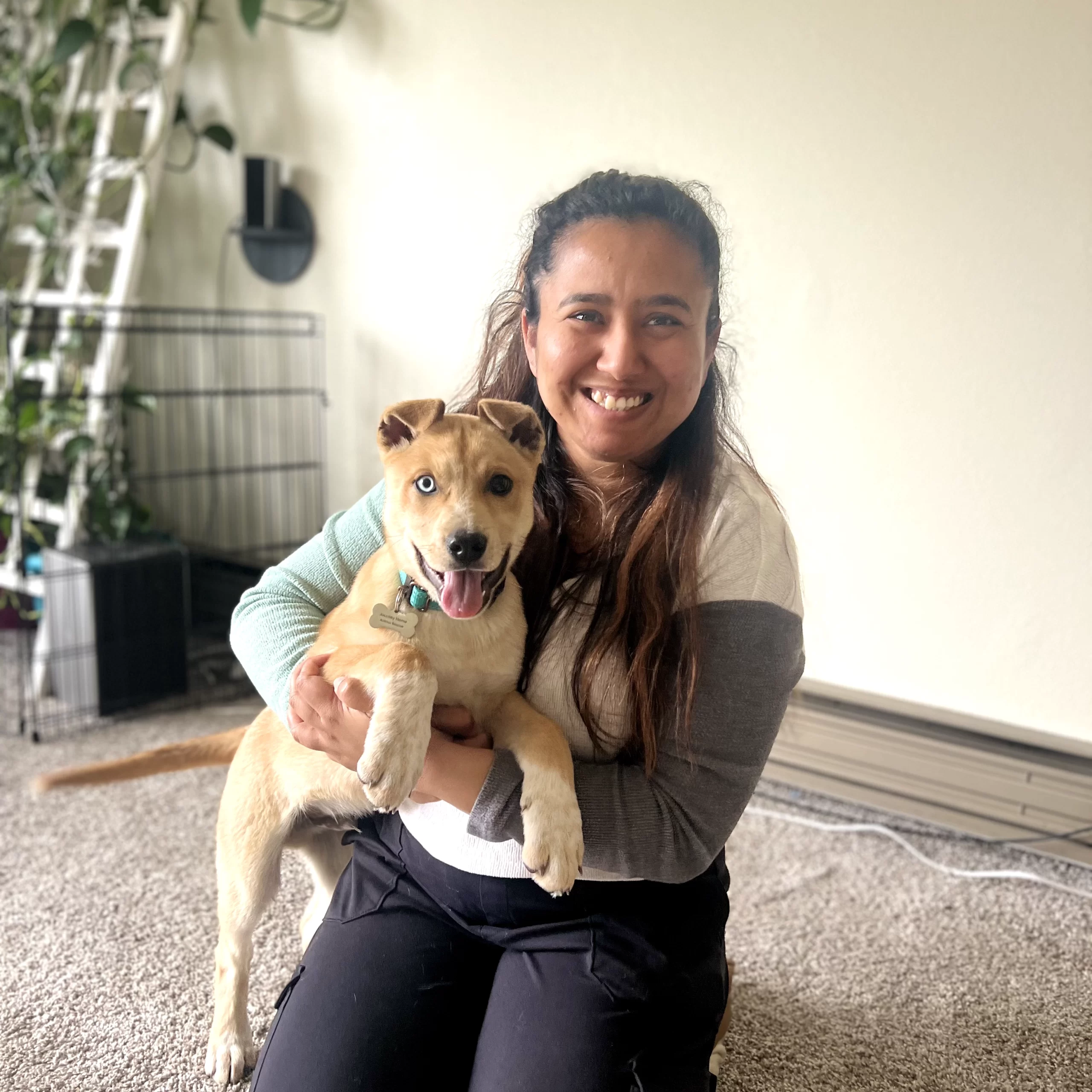 puppys-in-grand-forks-benu-and-rio WCT Author Benu holds a tan puppy with heterochromia