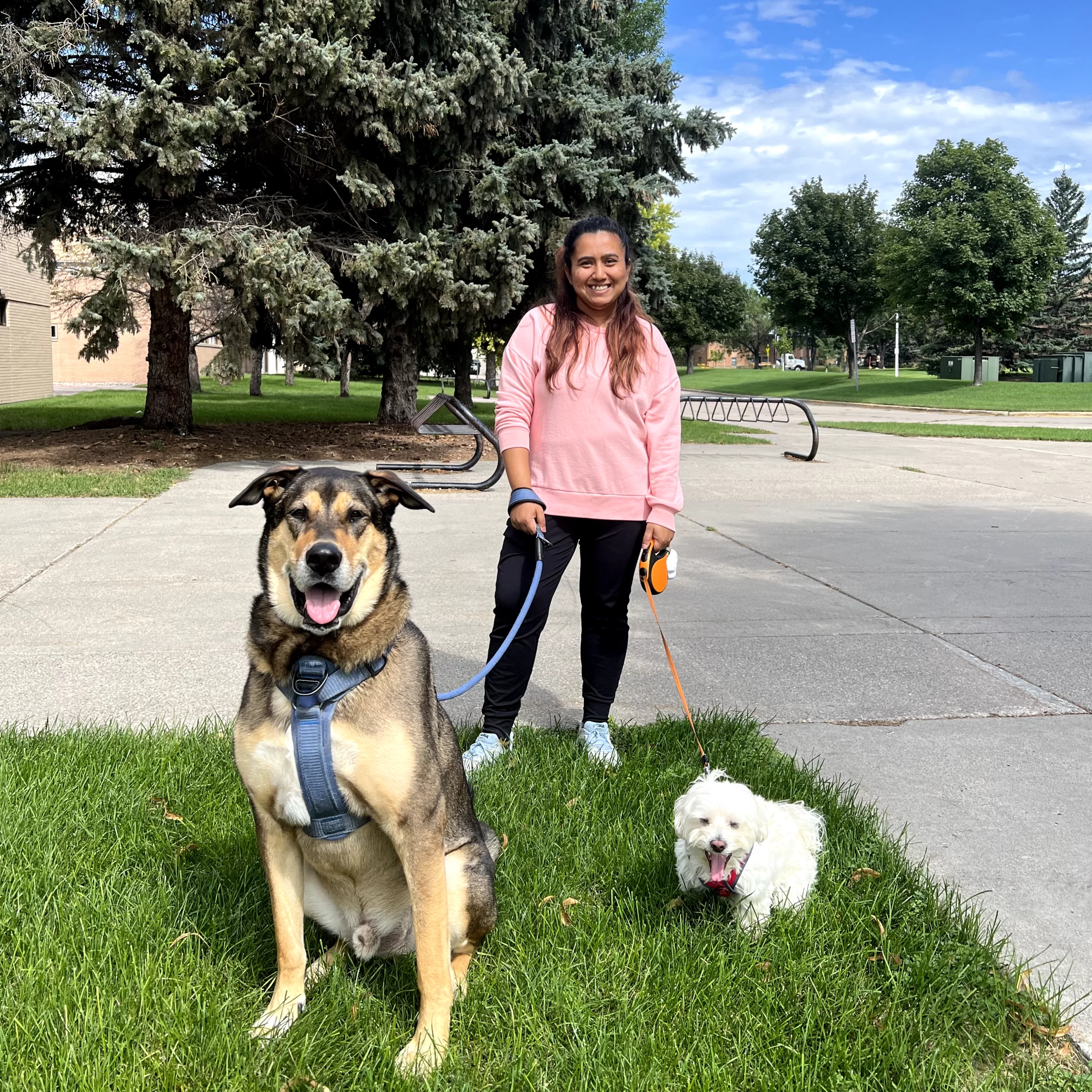 puppys-in-grand-forks-dog-walking Benu stands with two dogs, one the very small Rio, and the other a very massive Meso.