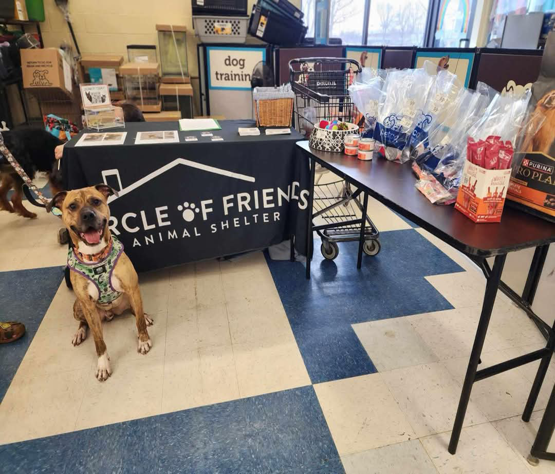 Circle of Friends animal shelter popup where they have a cute pup posing for the camera and lots of goodie bags for attendees.