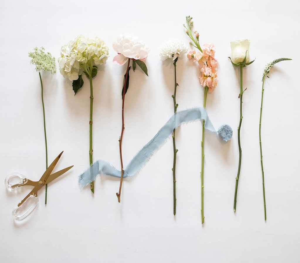 Pictured is a lineup of stemmed flowers almost like a flat lay style photo. There is a scissors laying next to them with a stoney blue ribbon across the front of the flowers as well.