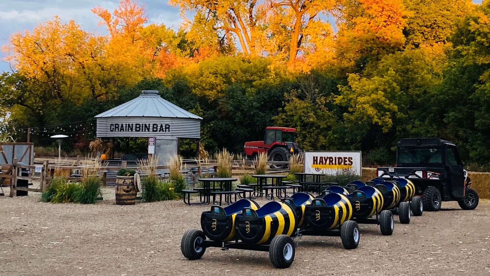 Nelson's Bee Train Photo Nelson's Pumpkin Patch bee train photo with the Grain Bin Bar in the background as the sun sets over the venue