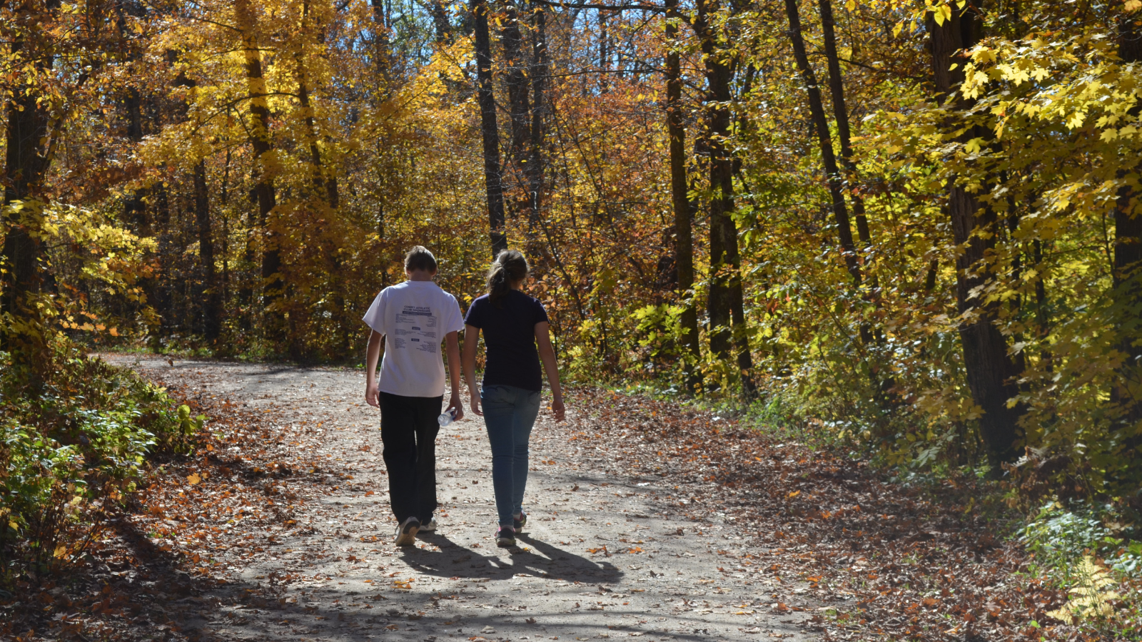 Fall strolls as a couple takes a walk amongst the yellow leaves on the Greenway trails in the north end of town