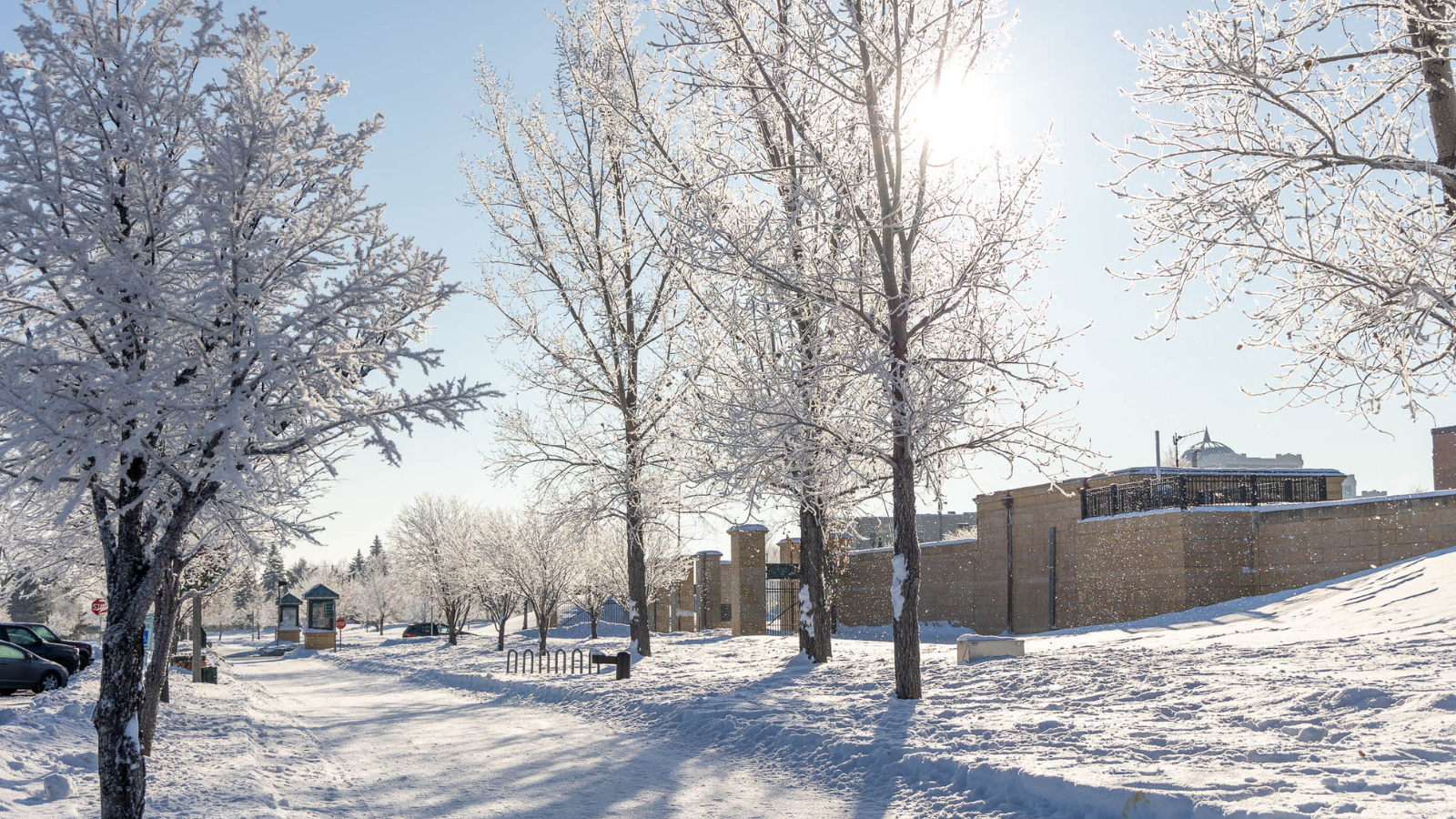 Wintertime sunshine on the Greenway near downtown Grand Forks