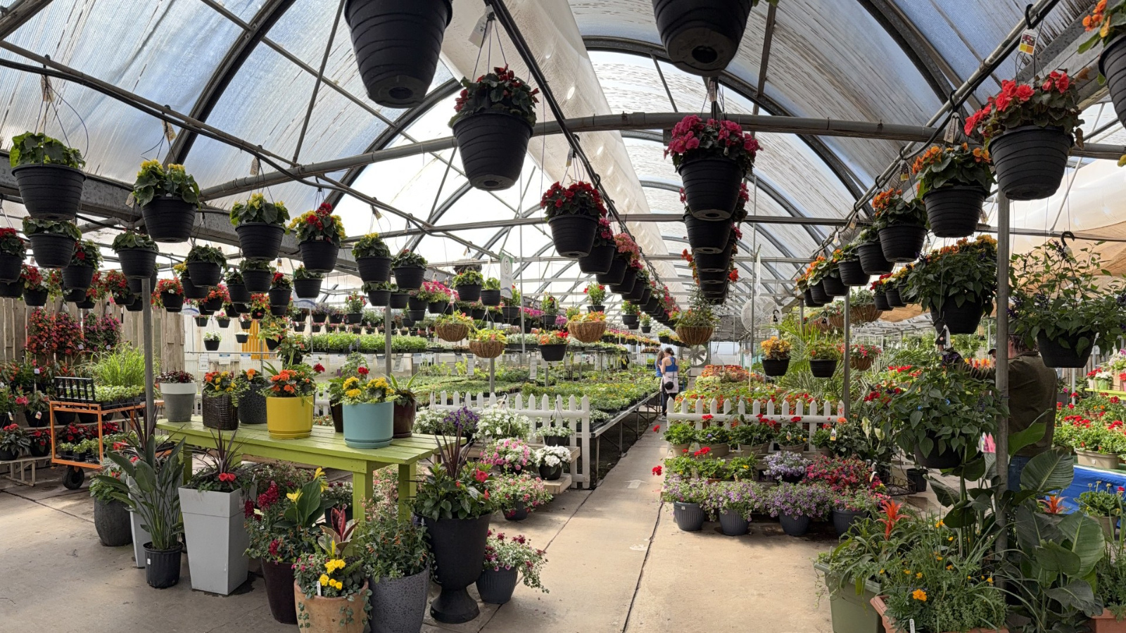 All Seasons Greenhouse All Seasons Garden center panorama view of the inside greenhouse