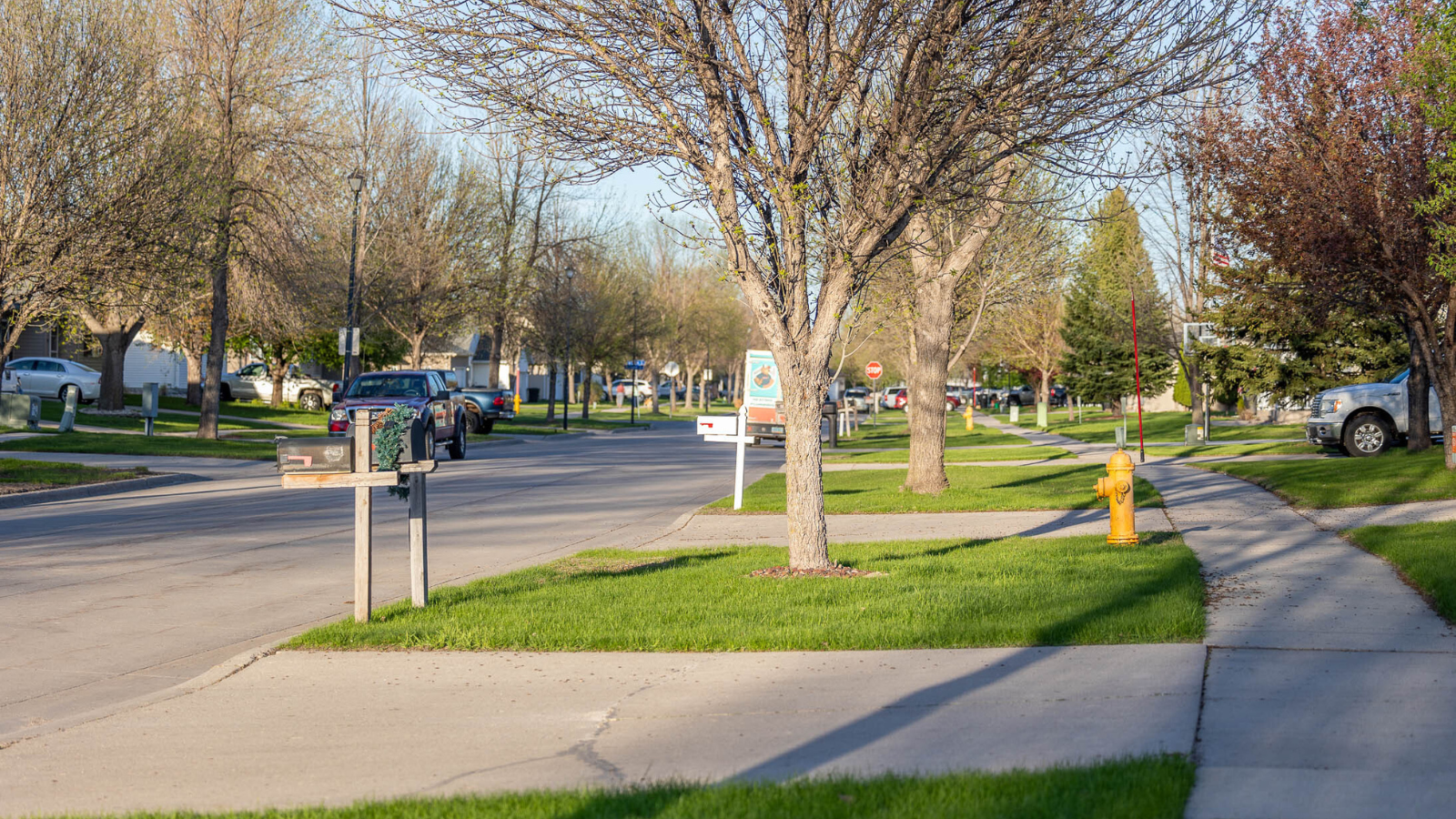 Spring time neighborhood photo from the sidewalk