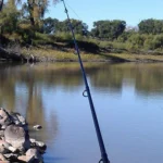 Shore Fishing Featured Image