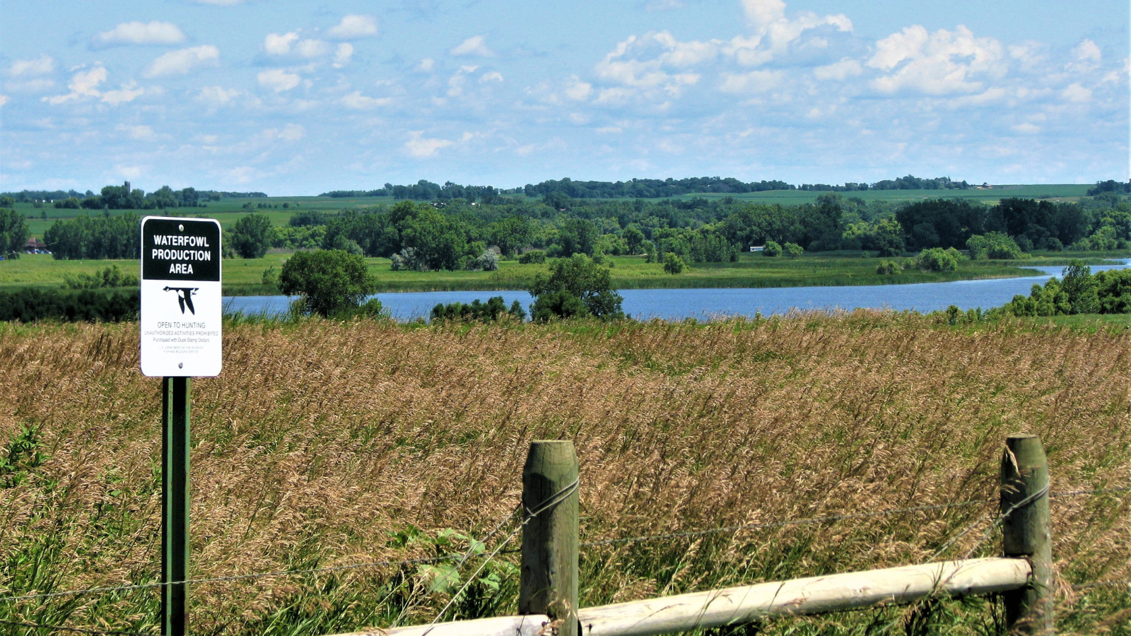 Water Fowl Fishing Sign
