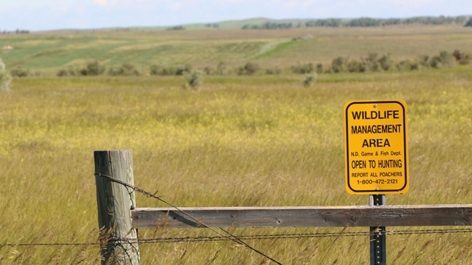 Public Land Sign Overlooking a Field