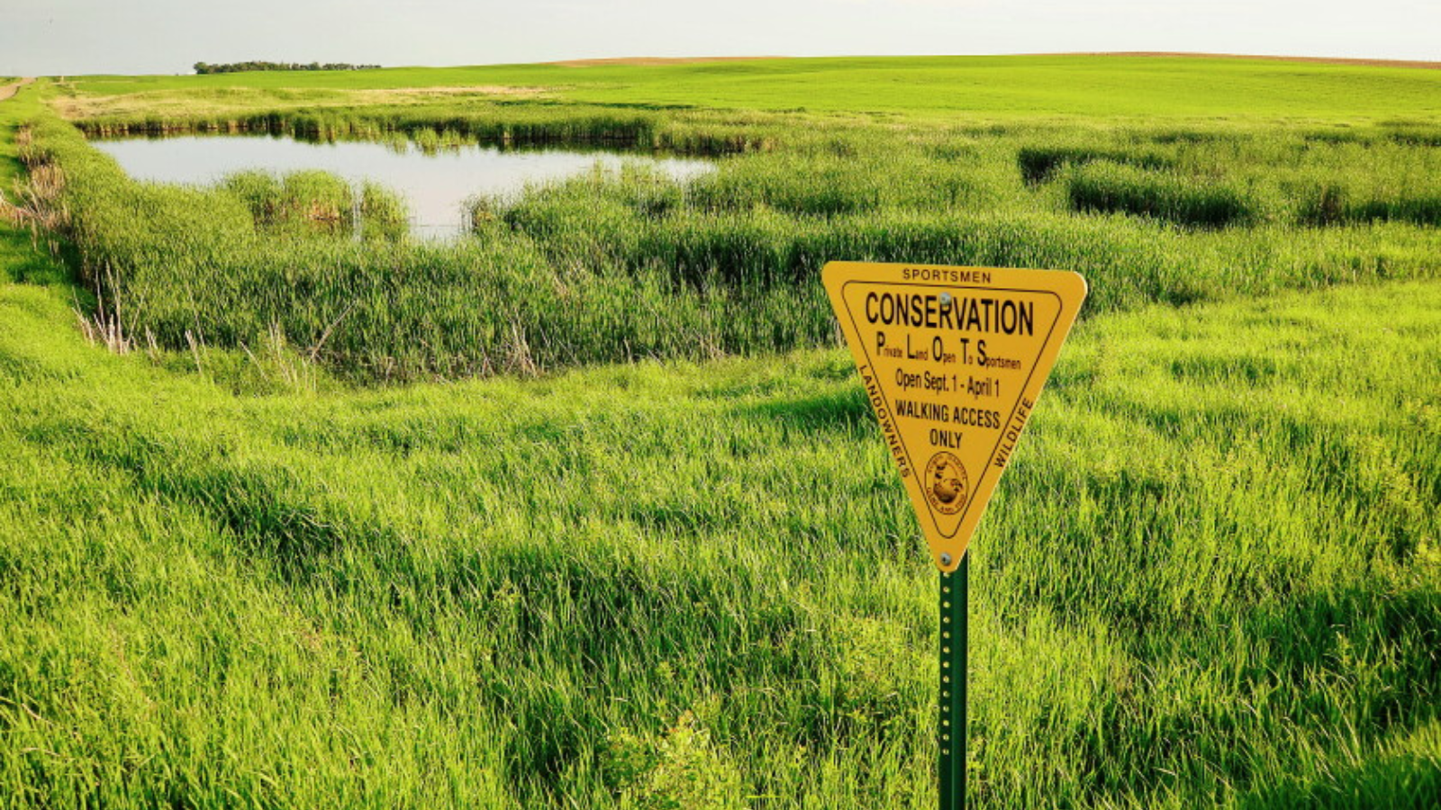 Public Land Sign overlooking a marshy pond